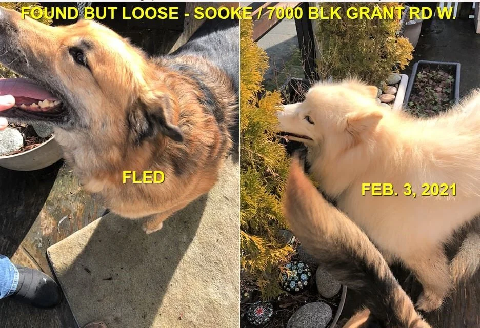 HAPPY ENDINGS - SOOKE BC - FEB. 3, 2021