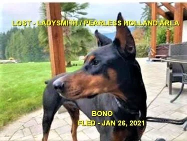 HAPPY ENDINGS - LADYSMITH BC. - JAN. 25, 2021 (MISSING TWO WEEKS)