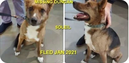 HAPPY ENDINGS - DUNCAN BC - JAN. 7, 2021