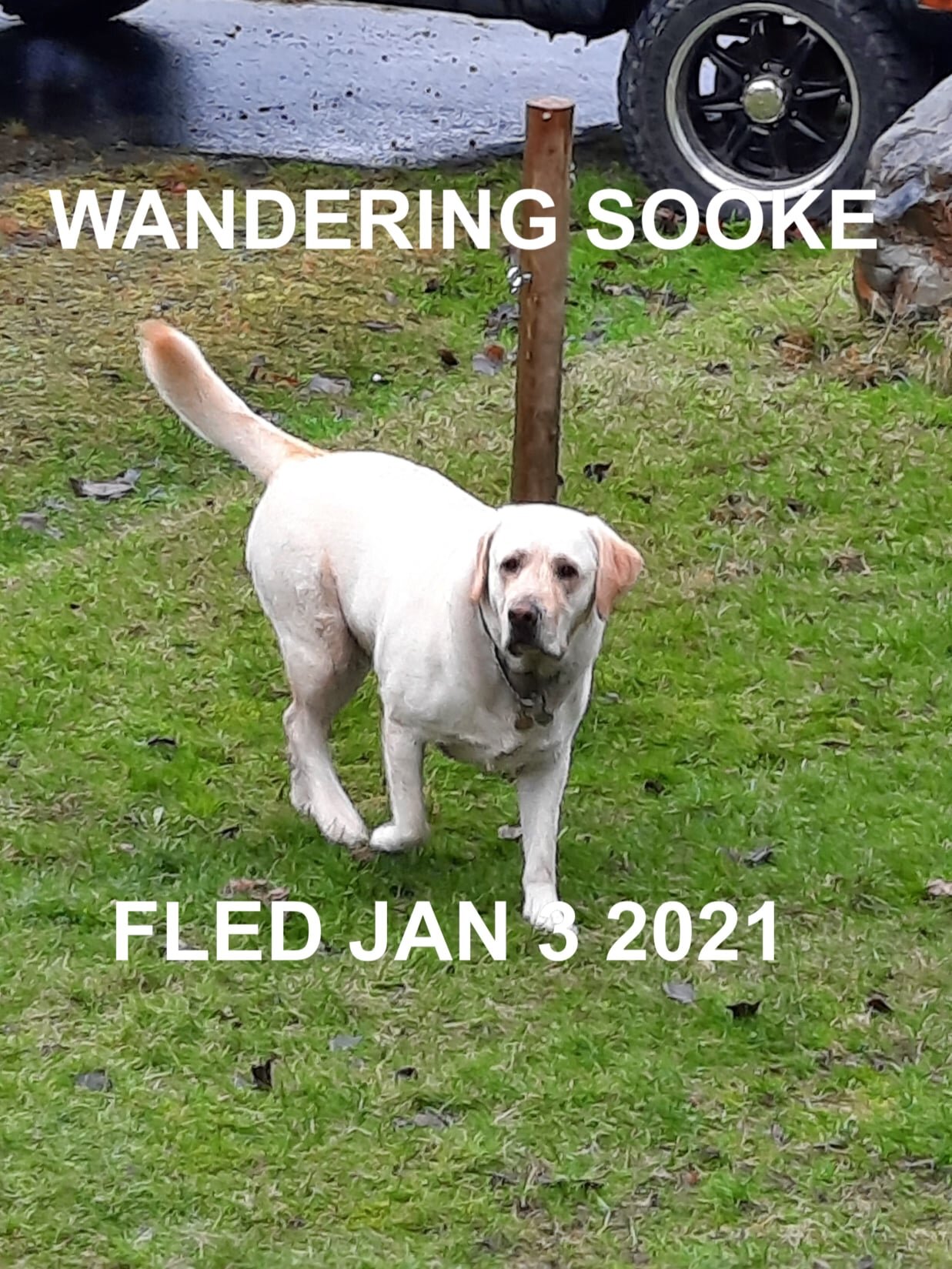 HAPPY ENDINGS - SOOKE BC - JAN 3, 2021