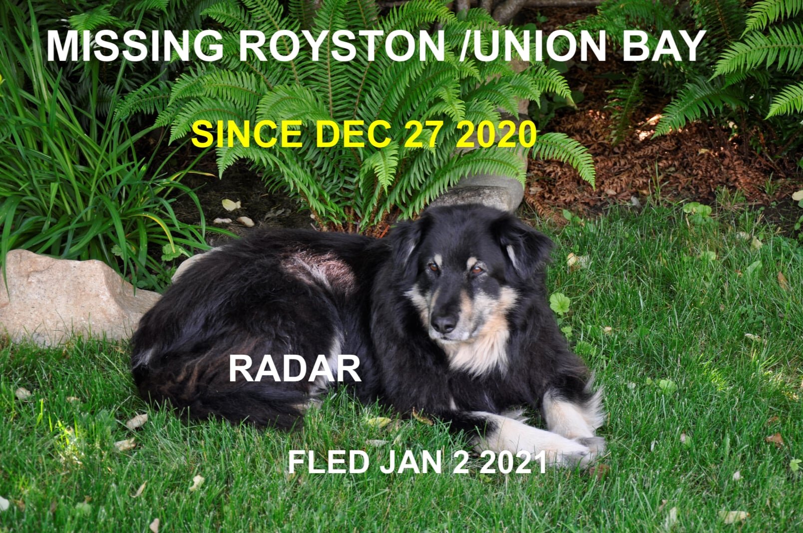 HAPPY ENDINGS - ROYSTON BC - JAN 2, 2021