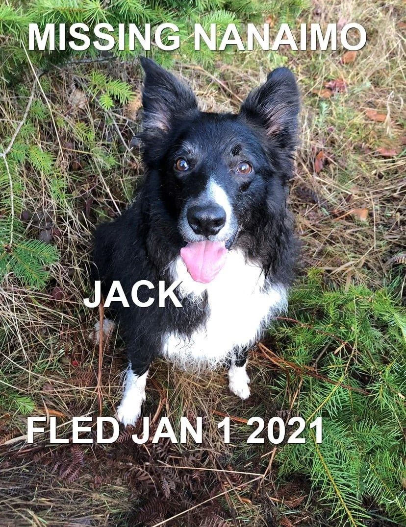 HAPPY ENDINGS - N.NANAIMO - JAN 1, 2021