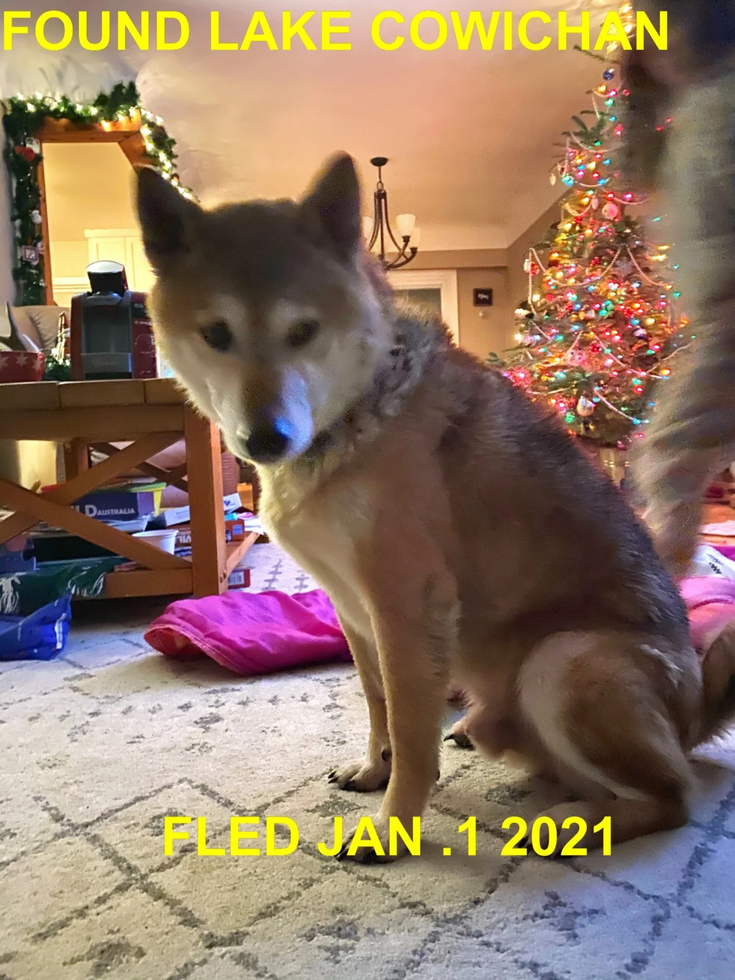 HAPPY ENDINGS - LAKE COWICHAN BC - JAN. 1, 2021