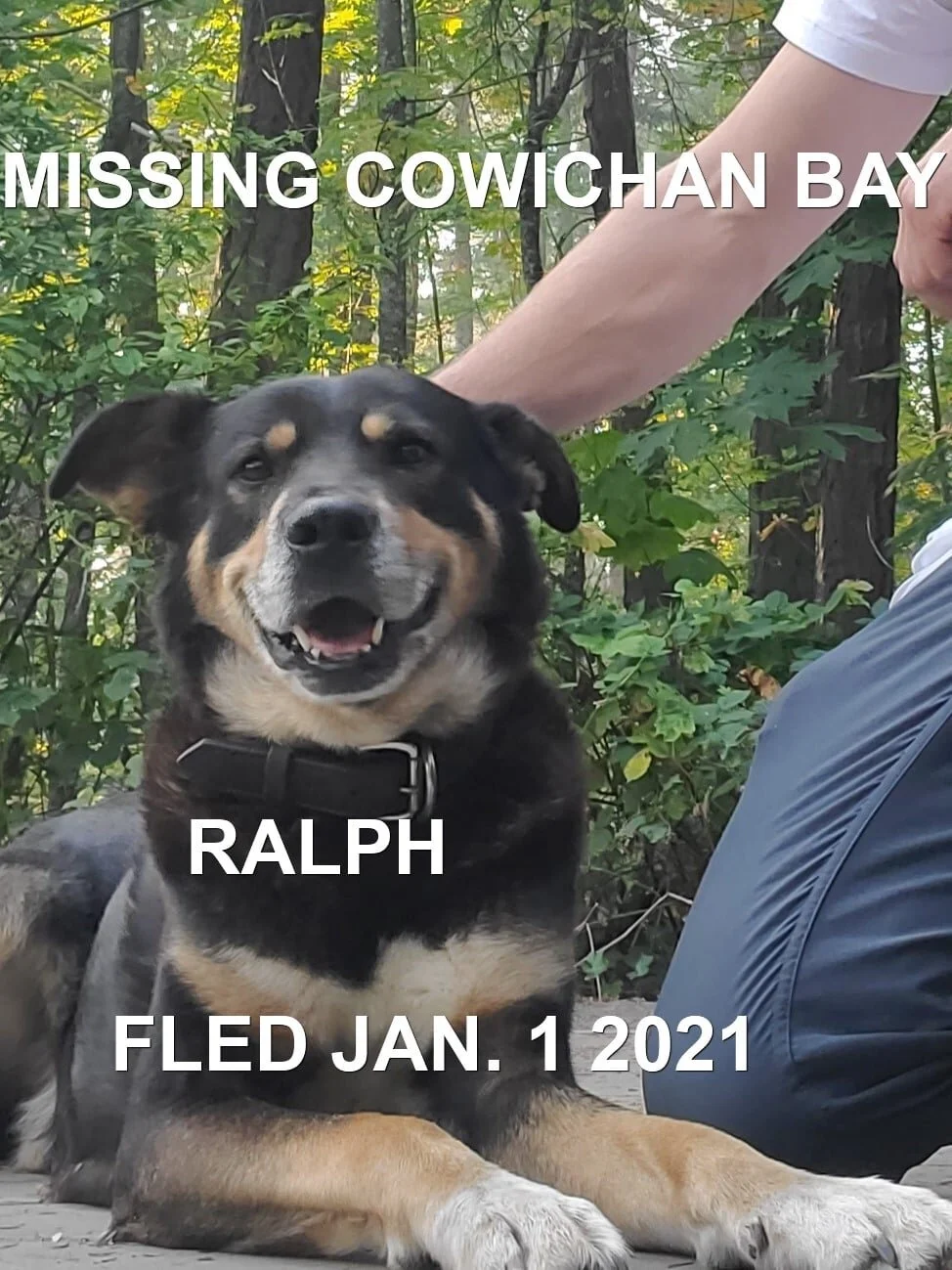 HAPPY ENDINGS - COWICHAN BAY - JAN 1, 2021