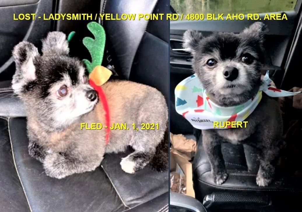 HAPPY ENDINGS - LADYSMITH BC - JAN 1, 2021