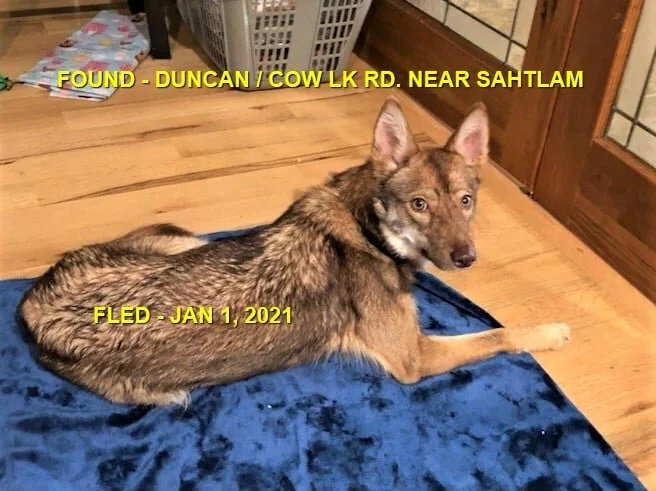 HAPPY ENDINGS - DUNCAN / COW LAKE BC - JAN 1, 2021