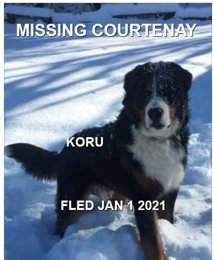 HAPPY ENDINGS - COURTENAY BC - JAN1, 2021