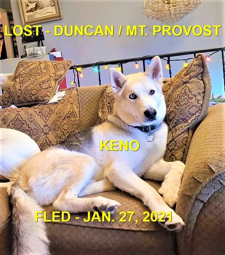 VERY HAPPY REUNION - KENO LOST - MT. PROVOST / DUNCAN BC - JAN. 25TH - FEB. 10, 2021