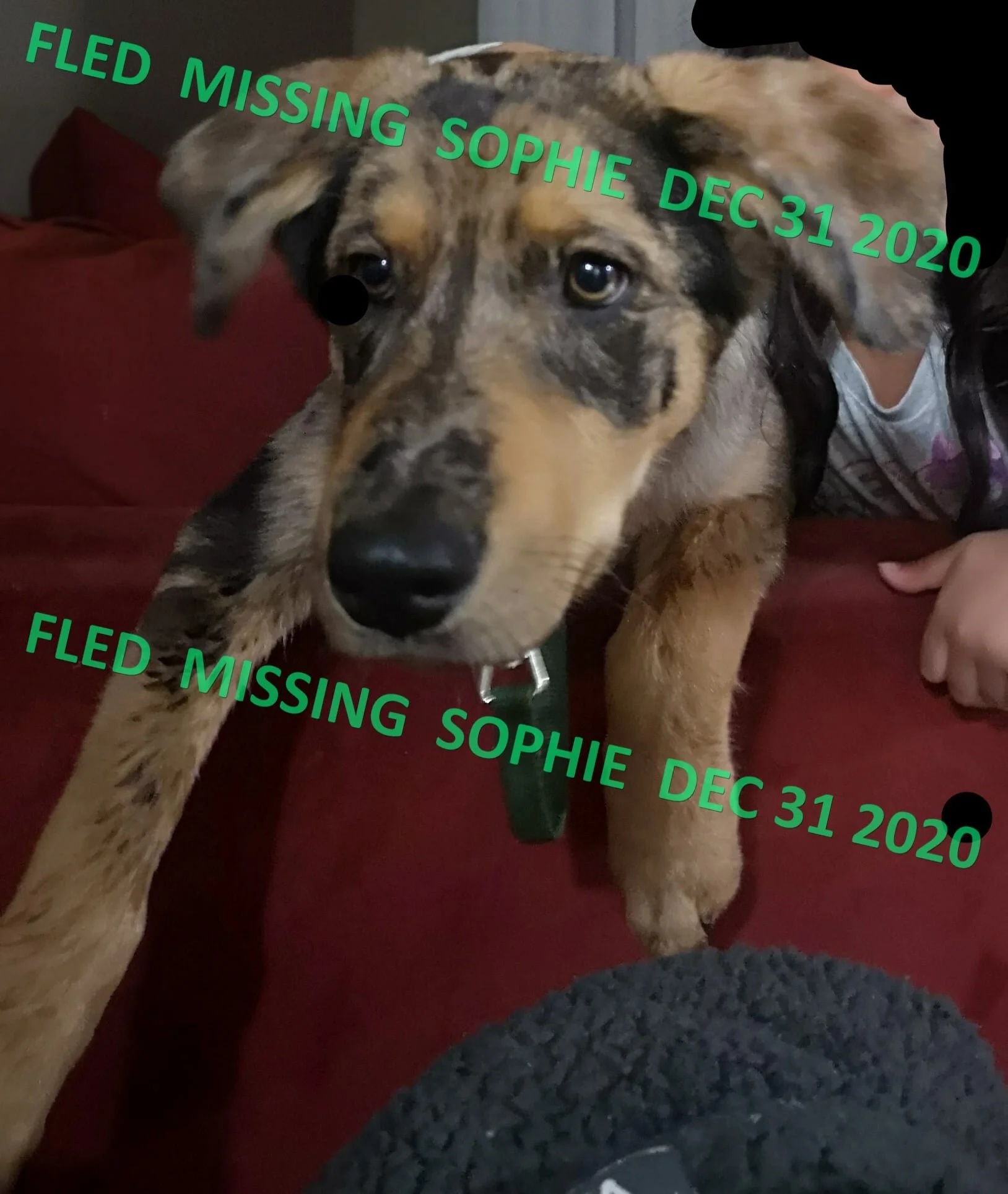 HAPPY ENDINGS - ESQUIMALT BC - DEC. 31, 2020