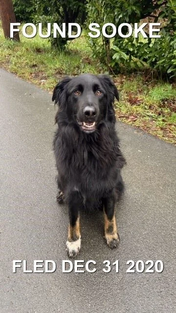 HAPPY ENDINGS - SOOKE BC - DEC. 31, 2020