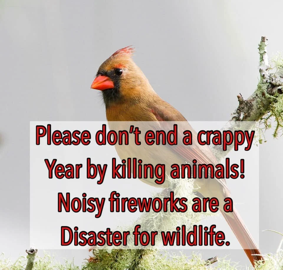 PSA - DEC. 2020 - SAY NO TO FIREWORKS