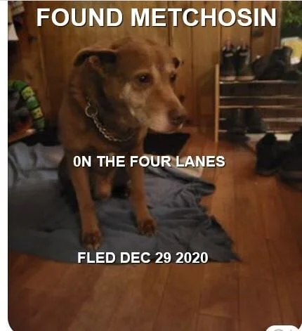 HAPPY ENDINGS - METCHOSIN BC - DEC. 29, 2020