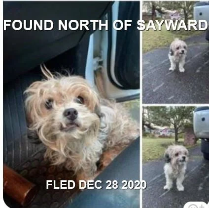 UNRESOLVED - SAYWARD BC - DEC 28, 2020