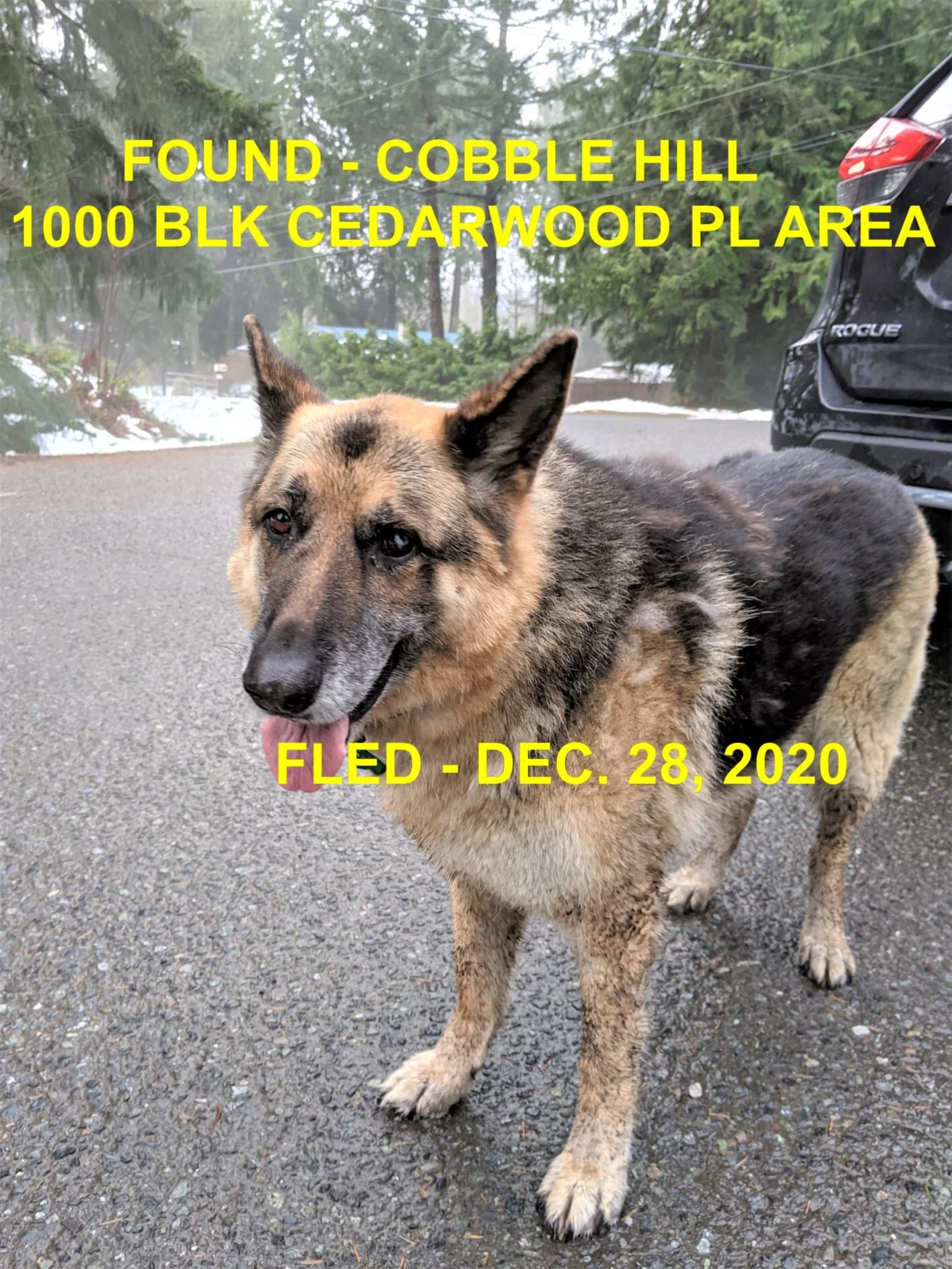 HAPPY ENDINGS - COBBLE HILL BC - DEC. 28, 2020