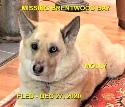 HAPPY ENDINGS - BRENTWOOD BAY BC. - DEC. 27, 2020