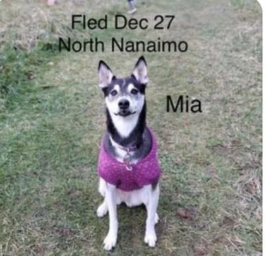 HAPPY ENDINGS - NANAIMO BC. - DEC. 27, 2020