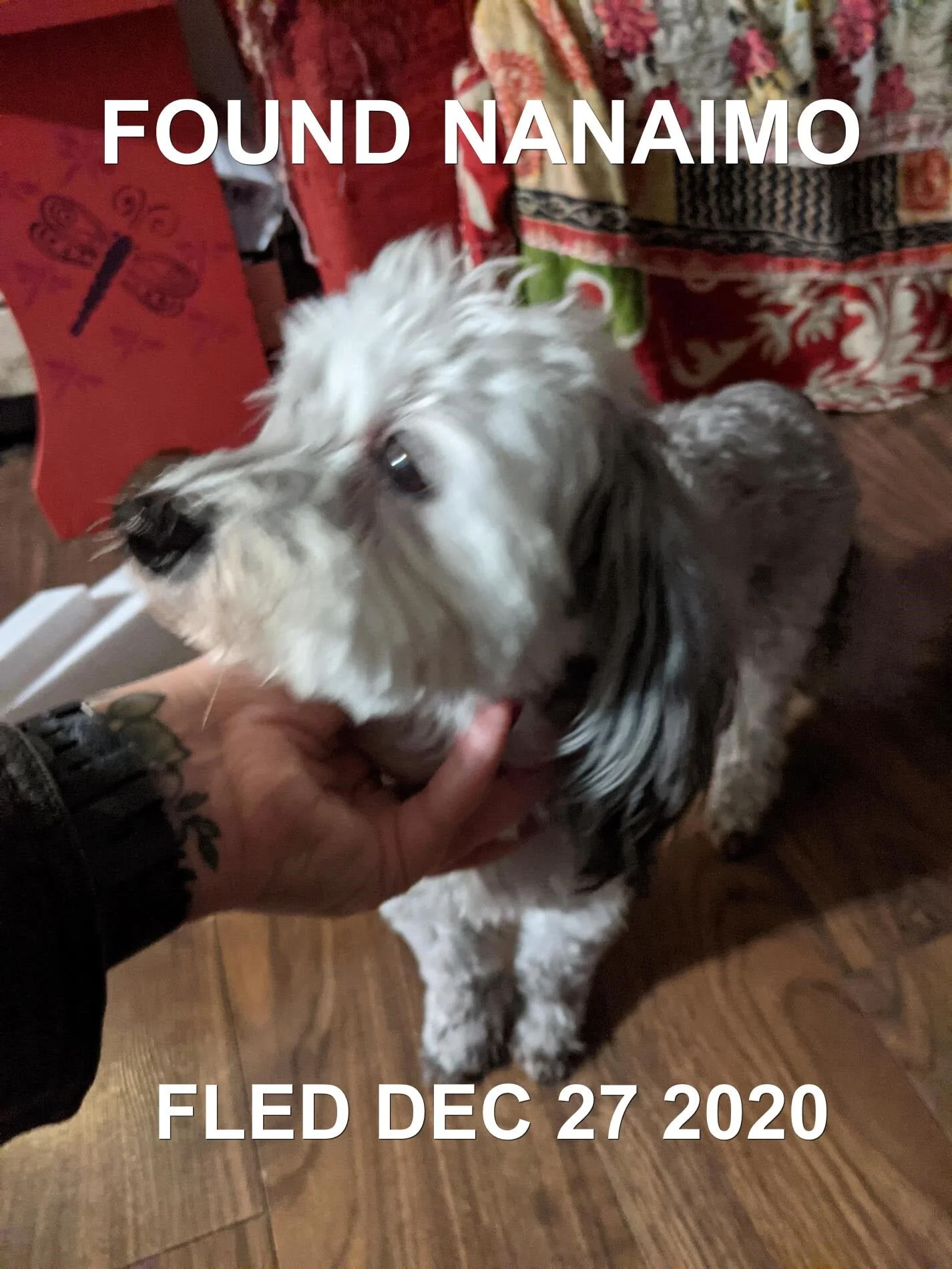 HAPPY ENDINGS - NANAIMO BC - DEC 27, 2020