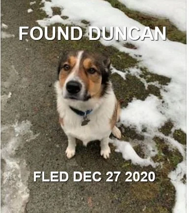 HAPPY ENDINGS - DUNCAN BC - DEC 27, 2020