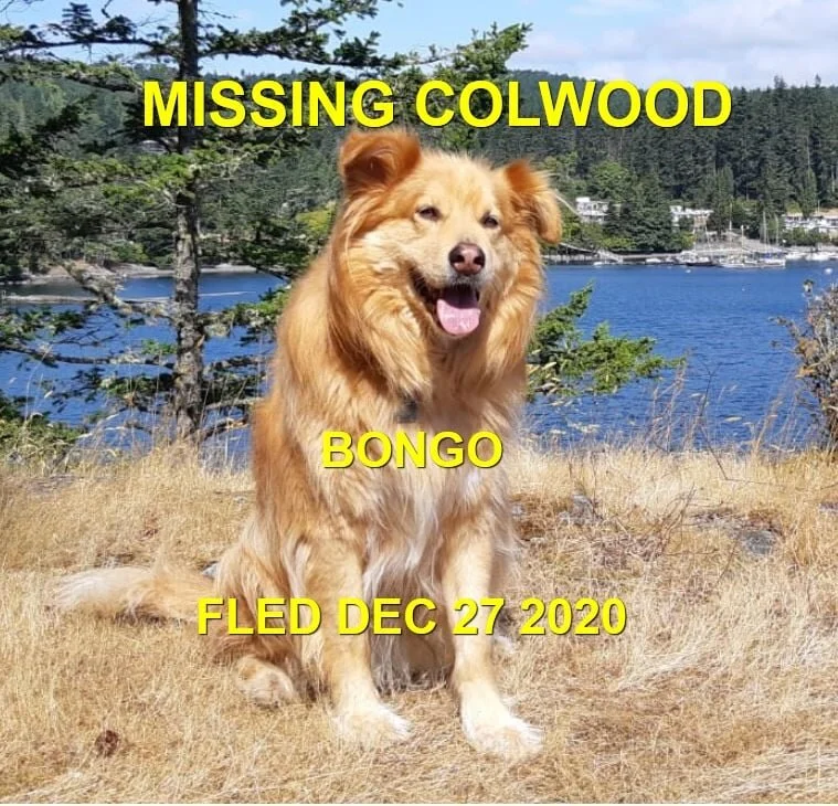 HAPPY ENDINGS - COLWOOD BC - DEC. 27, 2020