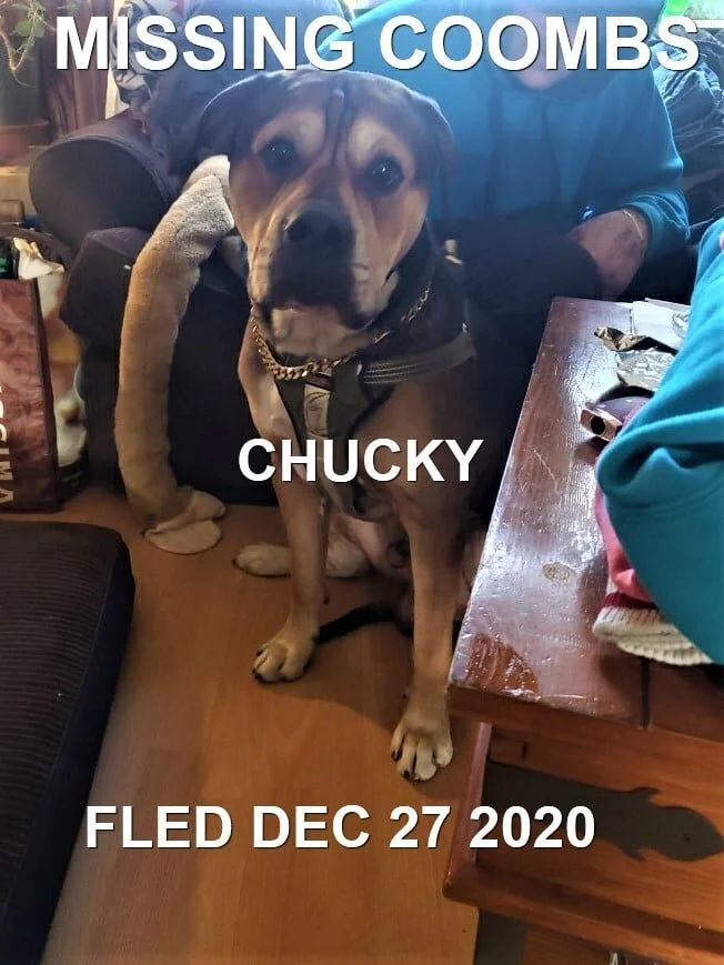 HAPPY ENDINGS - COOMBS BC - DEC 27, 2020