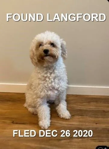 HAPPY ENDINGS - LANGFORD BC - DEC. 26, 2020