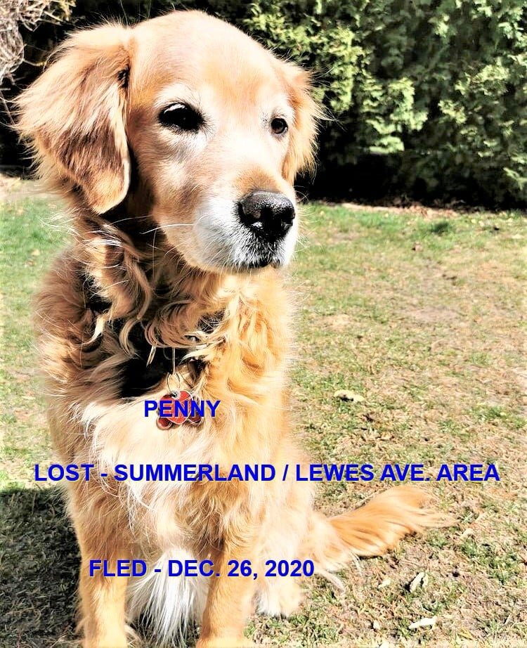 HAPPY ENDINGS - SUMMERLAND BC - DEC 26, 2020