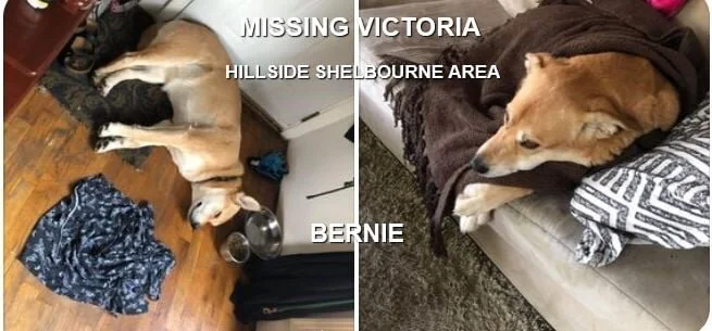 HAPPY ENDINGS - VICTORIA, BC - FEB. 12, 2021