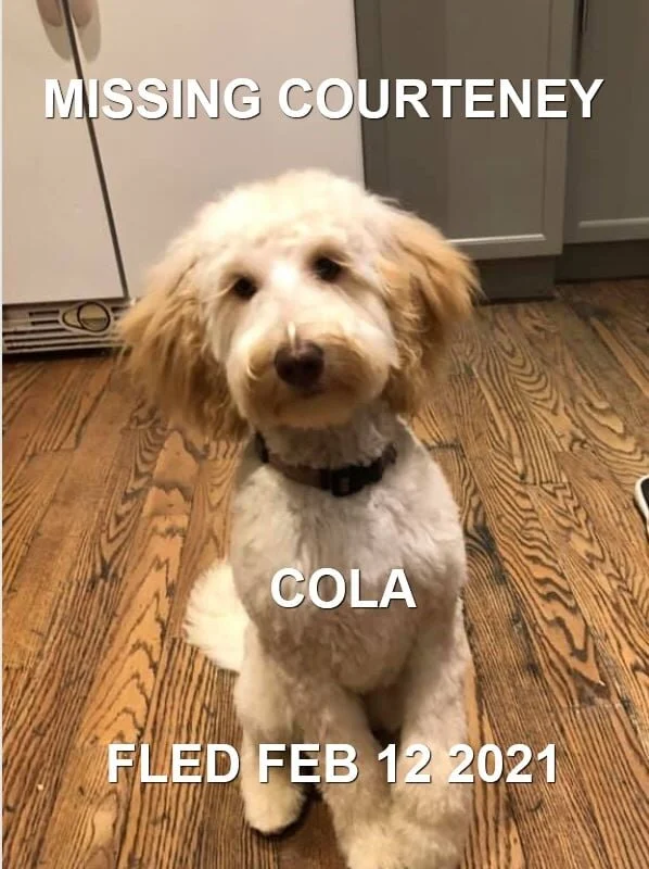 HAPPY ENDING - COURTENAY BC - FEB 12, 2021