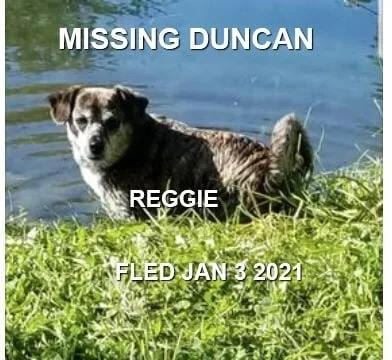 STILL MISSING / STOLEN - DUNCAN BC - JAN 3, 2021