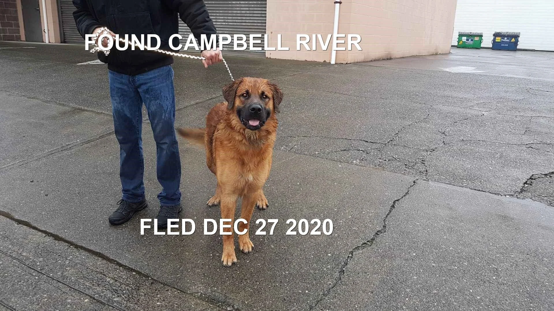 HAPPY ENDINGS - CAMPBELL RIVER BC - DEC. 27, 2020