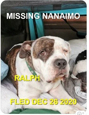 HAPPY ENDINGS - NANAIMO BC - DEC 25, 2020