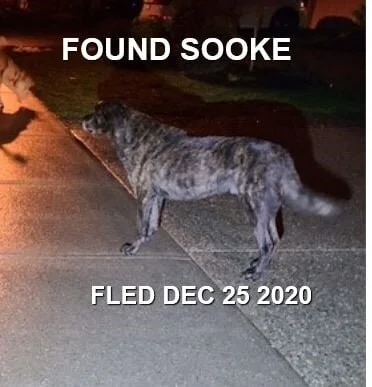 HAPPY ENDINGS - SOOKE BC - DEC. 25, 2020