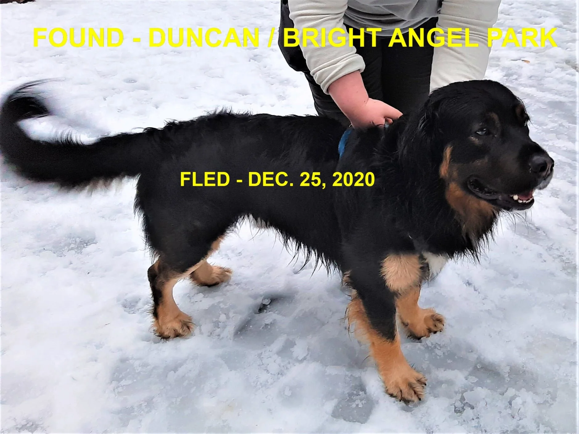 HAPPY ENDINGS - DUNCAN BC - DEC. 25, 2020
