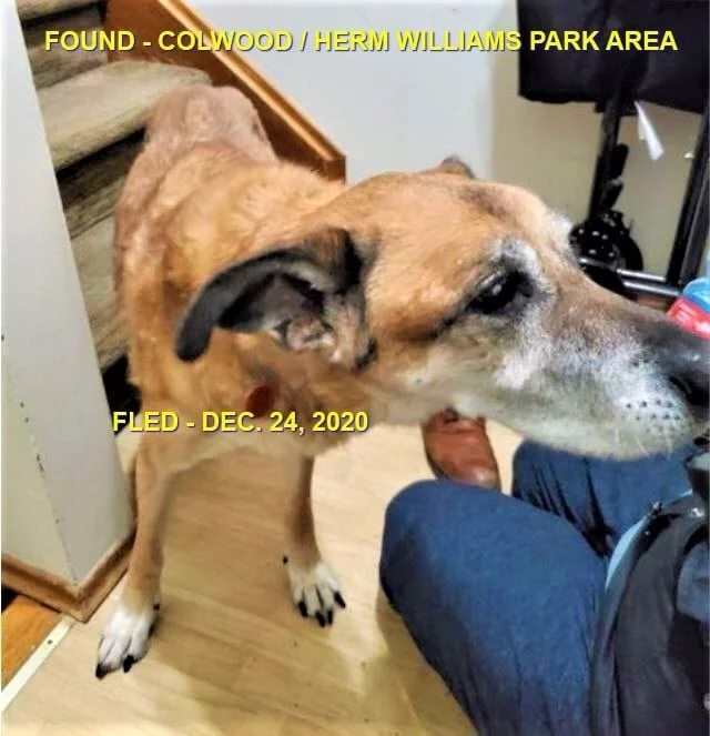 HAPPY ENDINGS - COLWOOD BC - DEC. 24, 2020