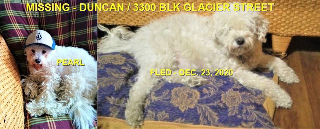 OVER THE RAINBOW BRIDGE - PEARL - DUNCAN BC - DEC. 23, 2020