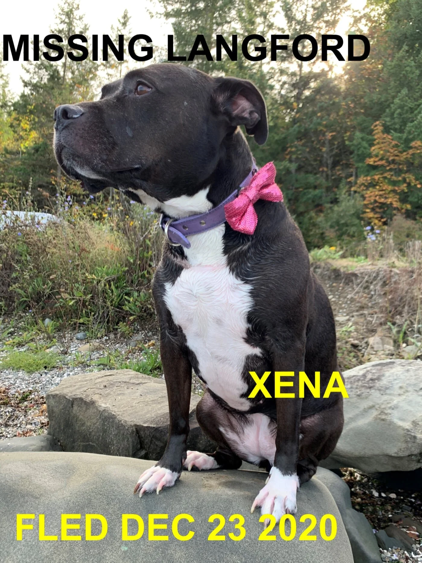 HAPPY ENDINGS - LANGFORD BC - DEC. 23, 2020