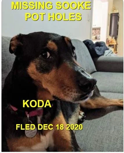 HAPPY ENDINGS - SOOKE BC - AFTER 13 DAYS LOST - DEC. 31, 2020