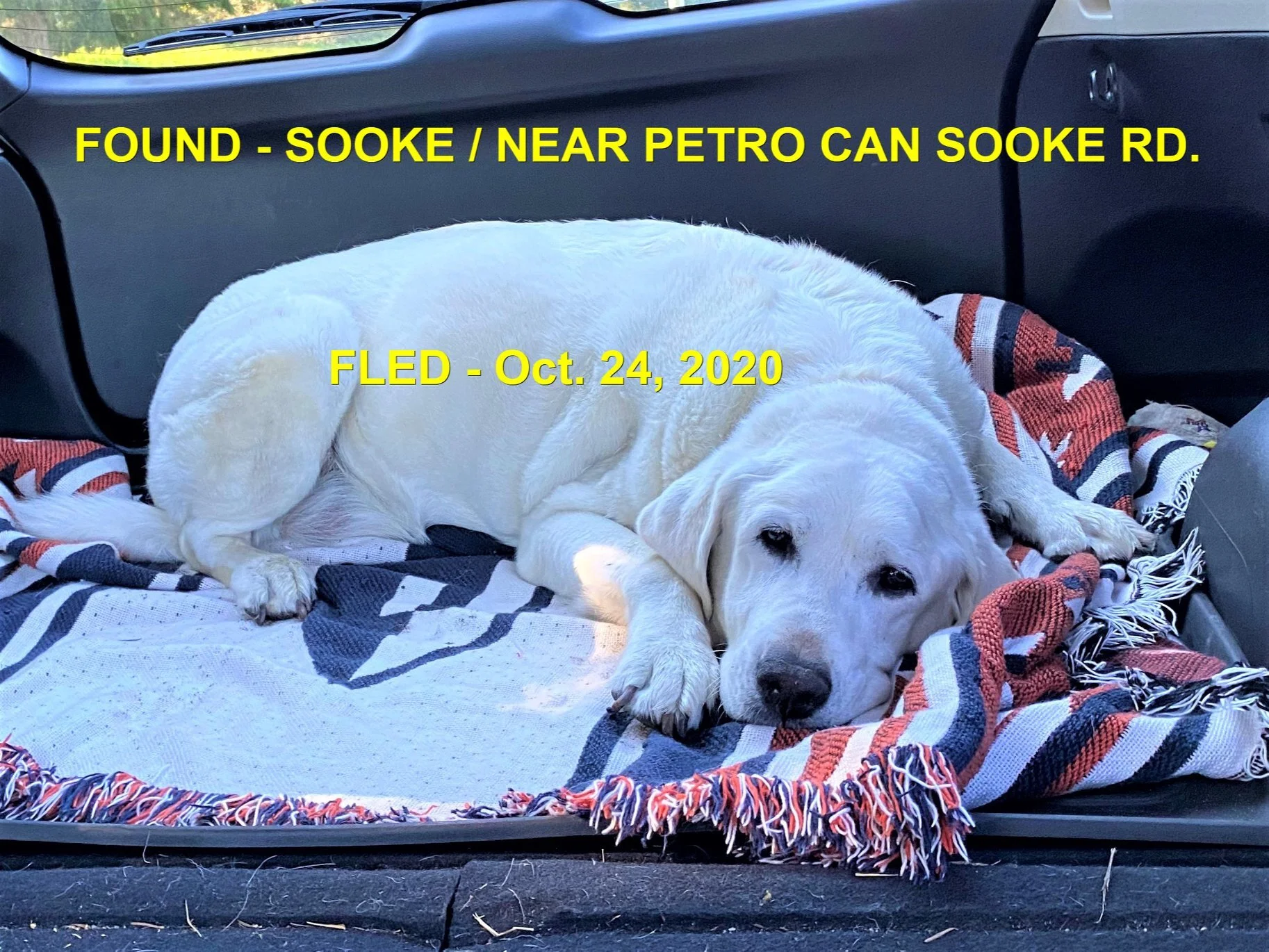 GONE HOME - SOOKE BC - OCT. 23, 2020