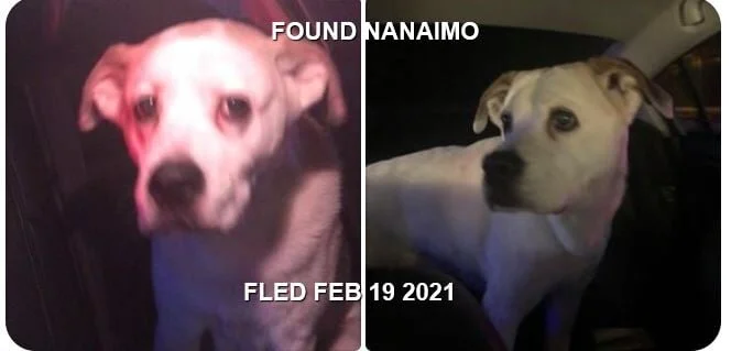 HAPPY ENDINGS - NANAIMO BC - FEB 19, 2021