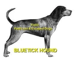 HAPPY ENDINGS - HONEYMOON BAY BC - FEB 15, 2021