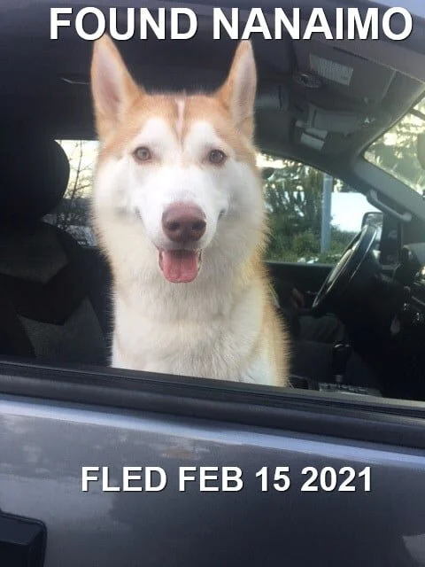 HAPPY ENDINGS - NANAIMO BC - FEB 15, 2021