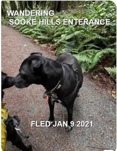 UNRESOLVED - SOOKE BC - JAN. 9, 2021