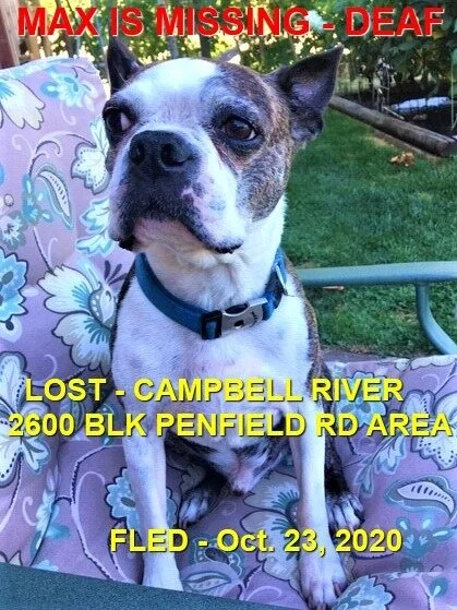 HAPPY ENDINGS - CAMPBELL RIVER BC - OCT. 23, 2020