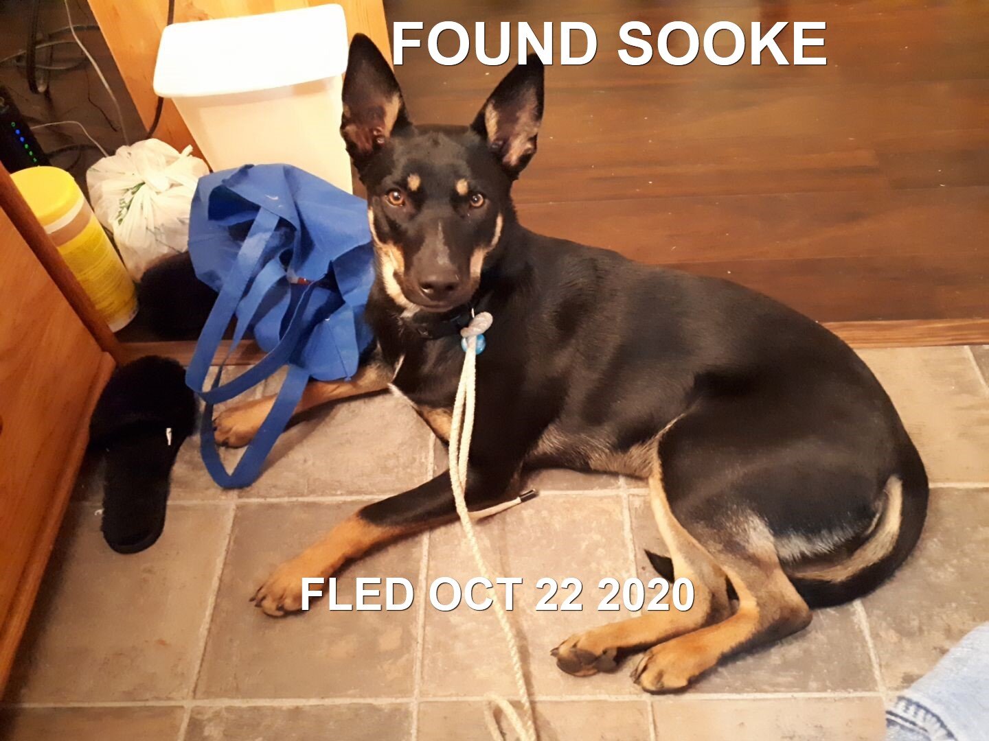 BLUE - HAPPY ENDINGS - SOOKE BC - OCT. 22, 2020