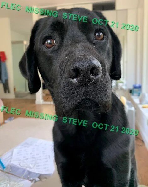 STEVE - HAPPY ENDINGS - SAANICH BC - OCT 21, 2020