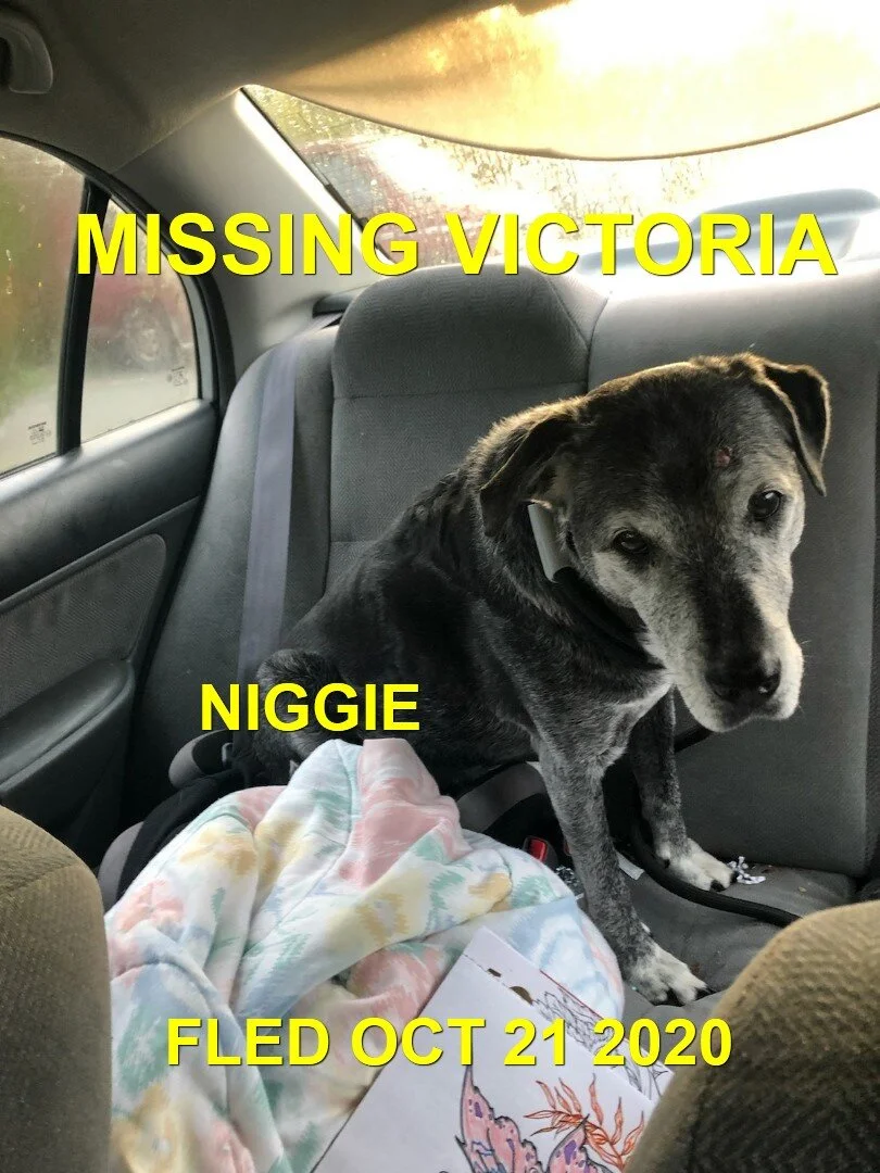 NIGGIE - HAPPY ENDINGS - VICTORIA BC - OCT. 21, 2020