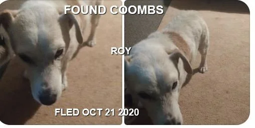 ROY - HAPPY ENDINGS - COOMBS BC - OCT. 21, 2020