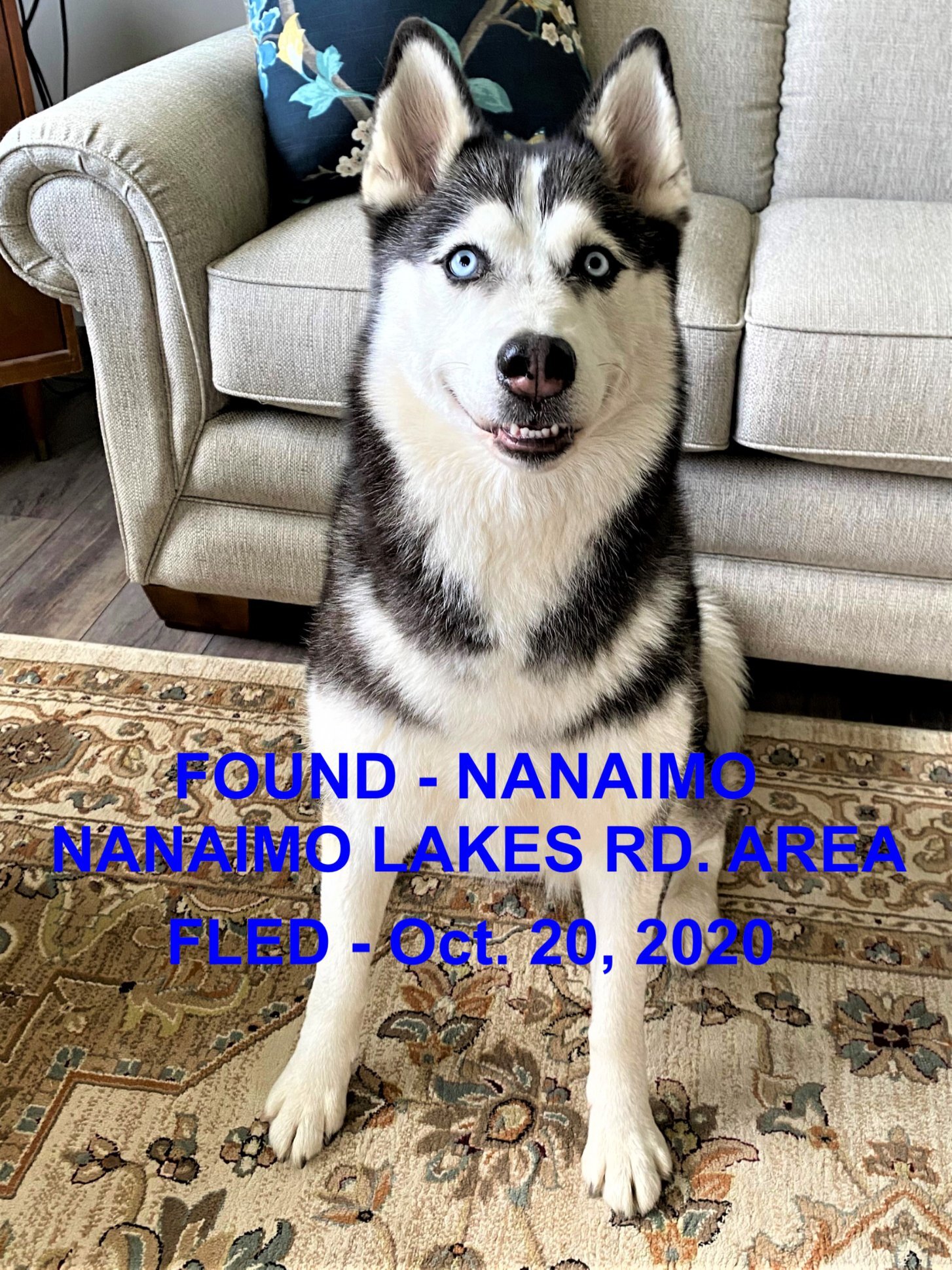 HAPPY ENDINGS - NANAIMO BC - OCT. 20, 2020