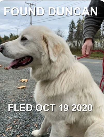HAPPY ENDINGS - DUNCAN BC - OCT. 19, 2020