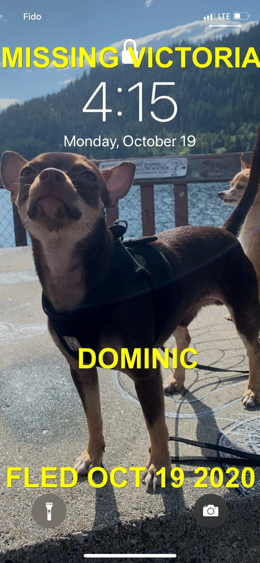 DOMINIC - HAPPY ENDINGS - VICTORIA BC - OCT. 18, 2020